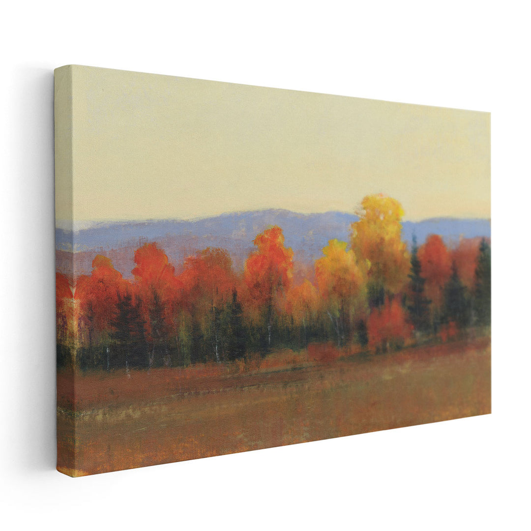 Changing Colors I - Canvas Print Wall Art