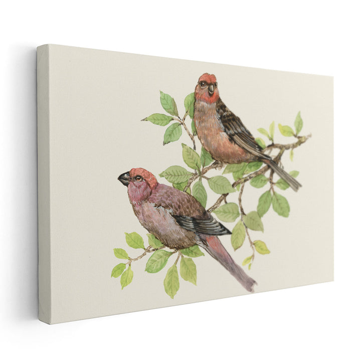 Song Birds II - Canvas Print Wall Art