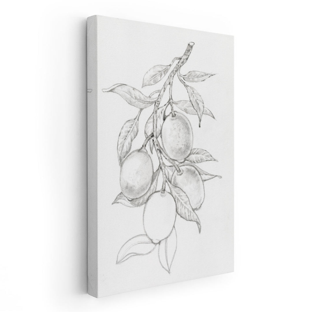 Fruit-Bearing Branch I - Canvas Print Wall Art