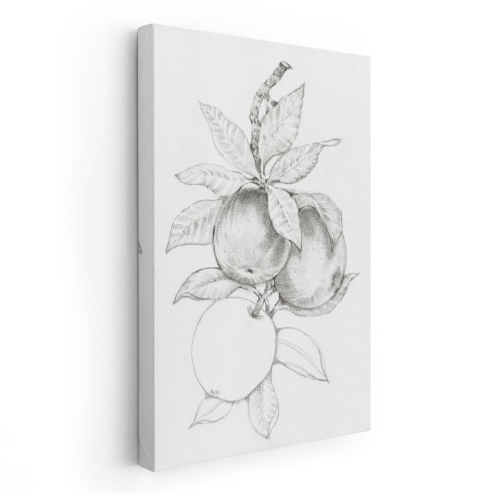 Fruit-Bearing Branch II - Canvas Print Wall Art