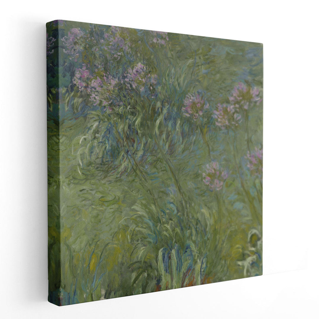 Agapanthus, 1914-26 - Canvas Print Wall Art