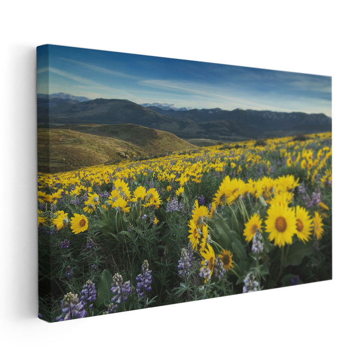 Methow Valley Wildflowers IV - Canvas Print Wall Art