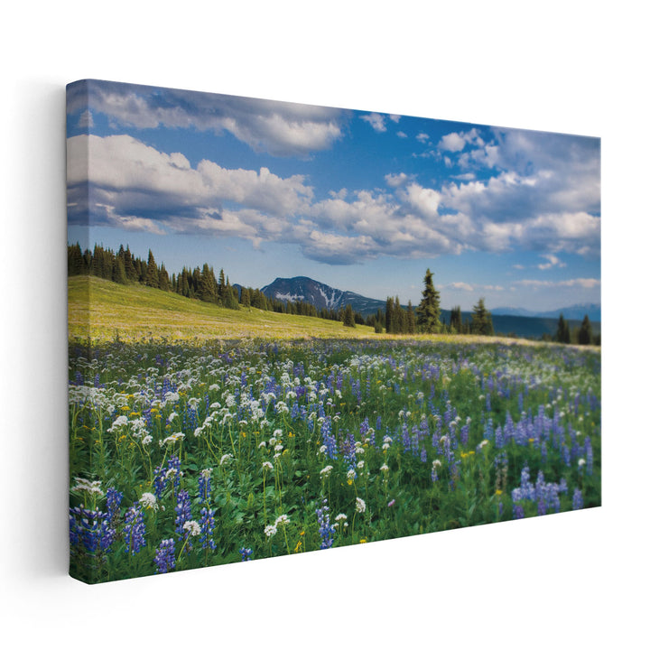 Trophy Meadows - Canvas Print Wall Art