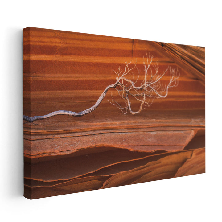 Coyote Buttes III - Canvas Print Wall Art