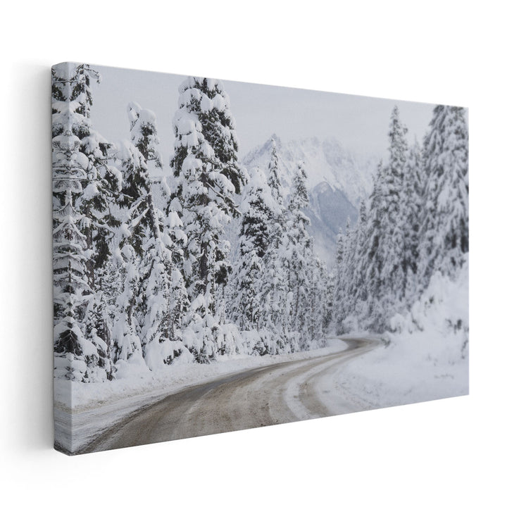 Mount Baker Highway I - Canvas Print Wall Art