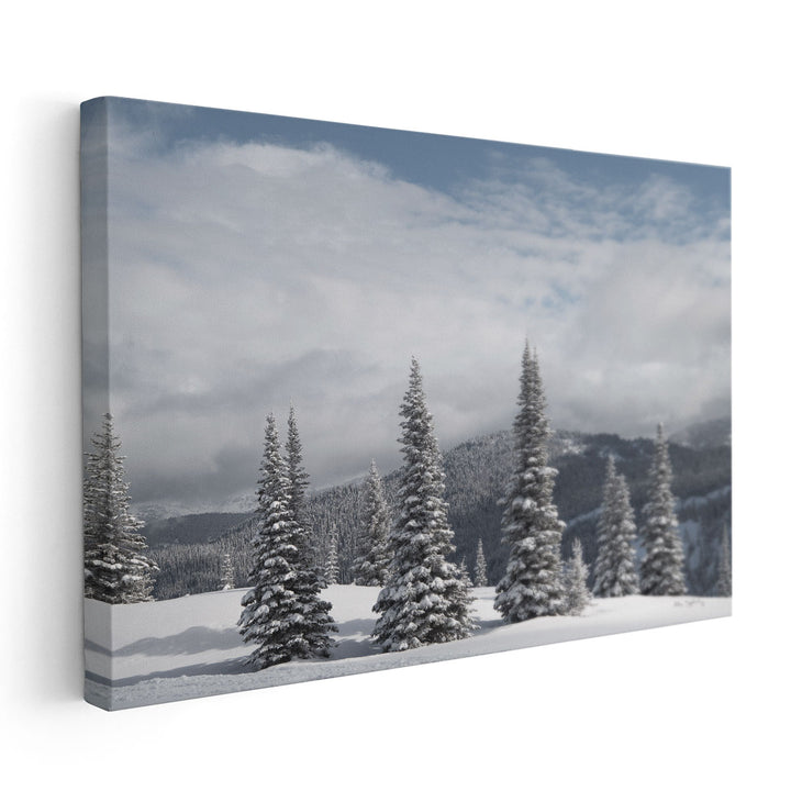 North Cascades in Winter II - Canvas Print Wall Art