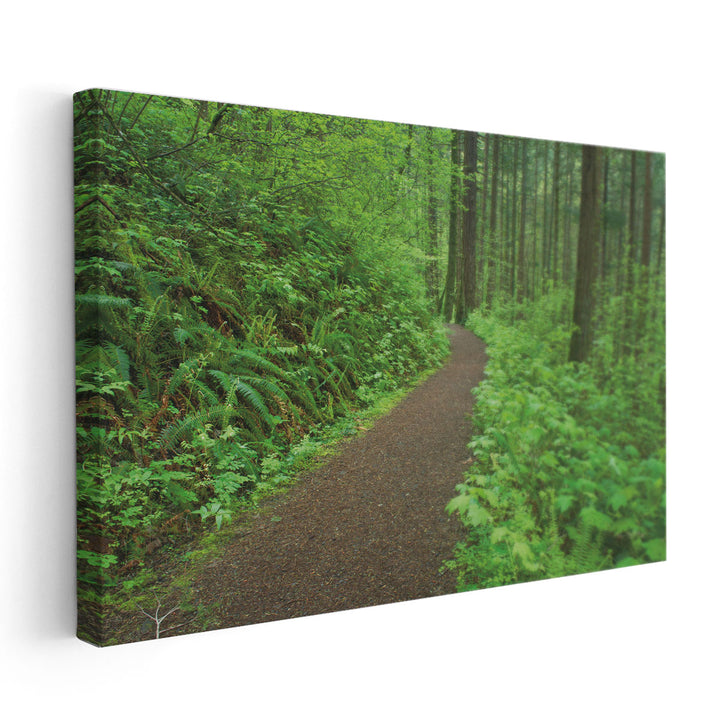 Hiking Trail in Columbia River Gorge I - Canvas Print Wall Art