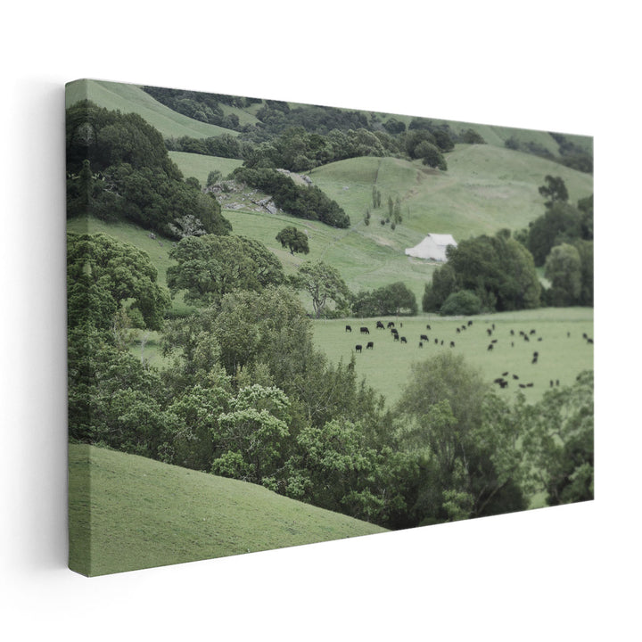 Marin California Ranch - Canvas Print Wall Art