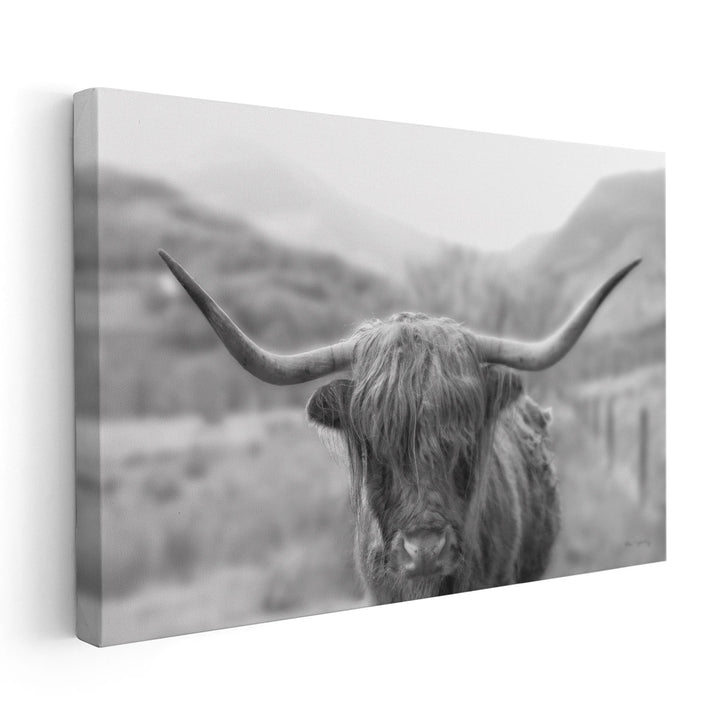 Scottish Highland Cattle III Black and White - Canvas Print Wall Art