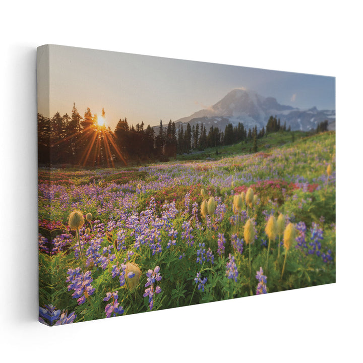 Paradise Wildflower Meadows I - Canvas Print Wall Art