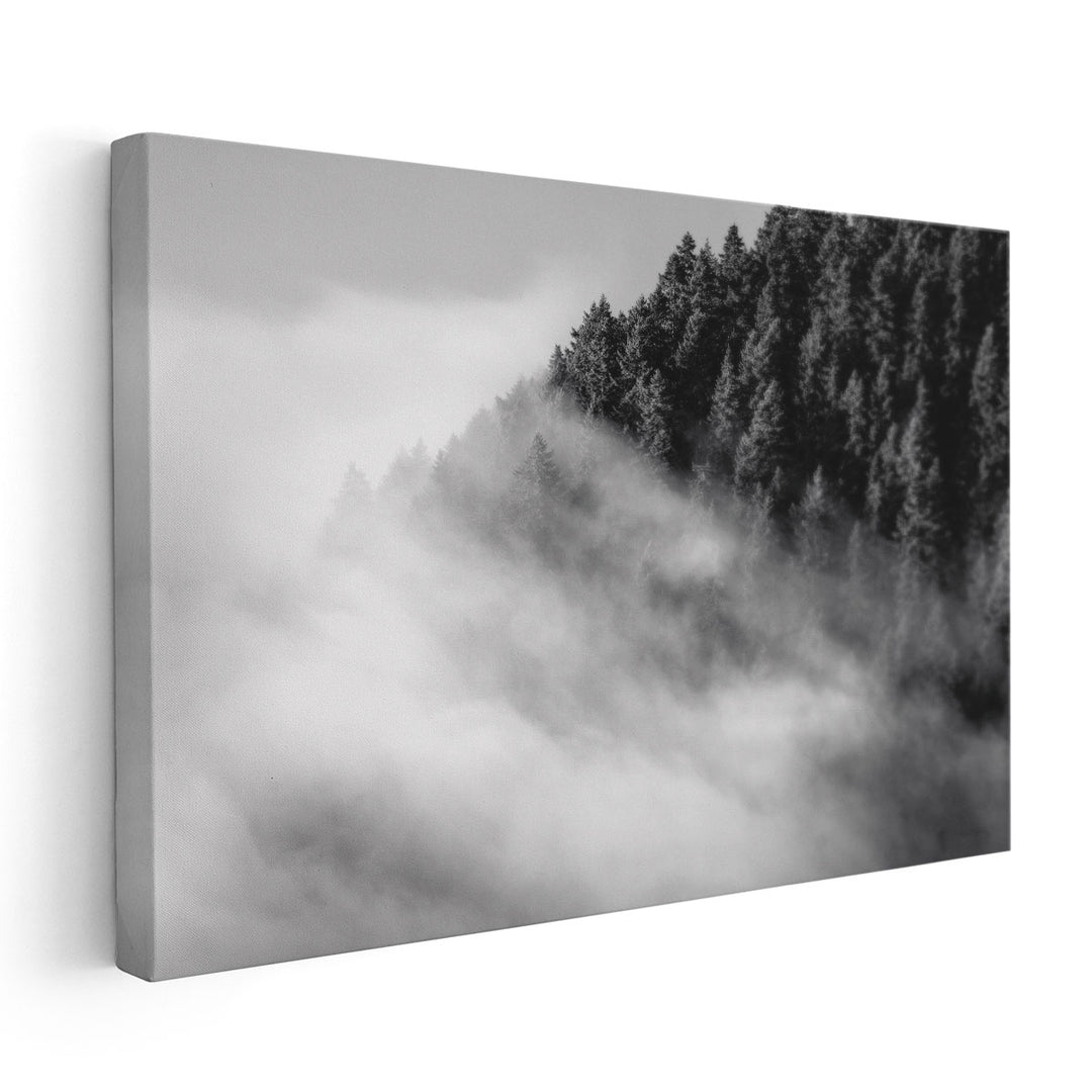 Fog and Forest I Black and White - Canvas Print Wall Art