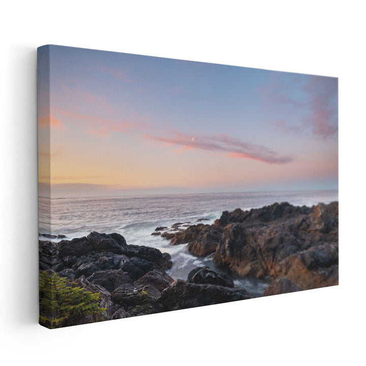 Rugged Coast Along Wild Pacific Trail - Canvas Print Wall Art