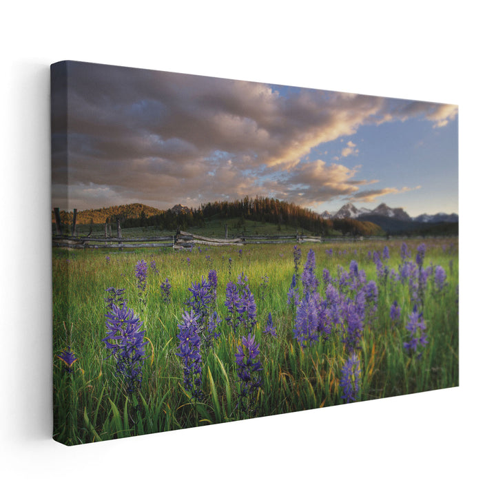 Camas Meadows - Canvas Print Wall Art