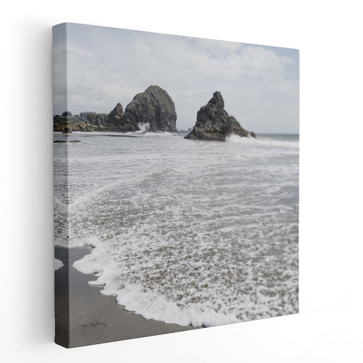 Harris Beach Oregon - Canvas Print Wall Art