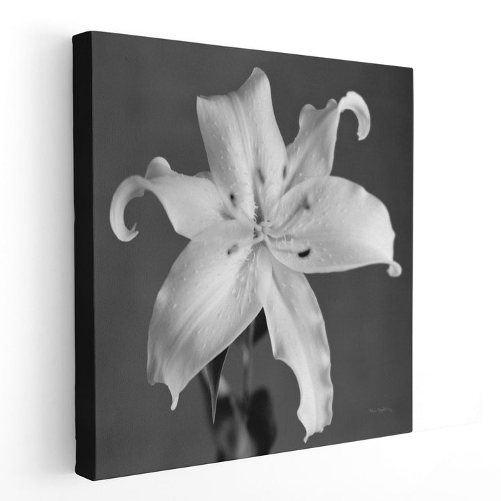 Orient Lily I - Canvas Print Wall Art