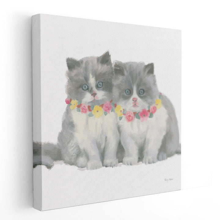 Cutie Kitties VIII - Canvas Print Wall Art