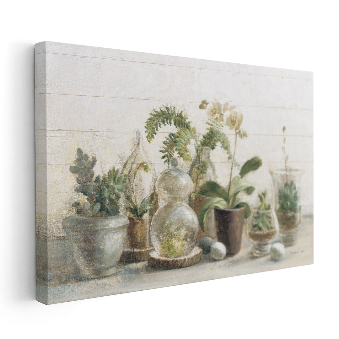 Greenhouse Orchids on Shiplap - Canvas Print Wall Art