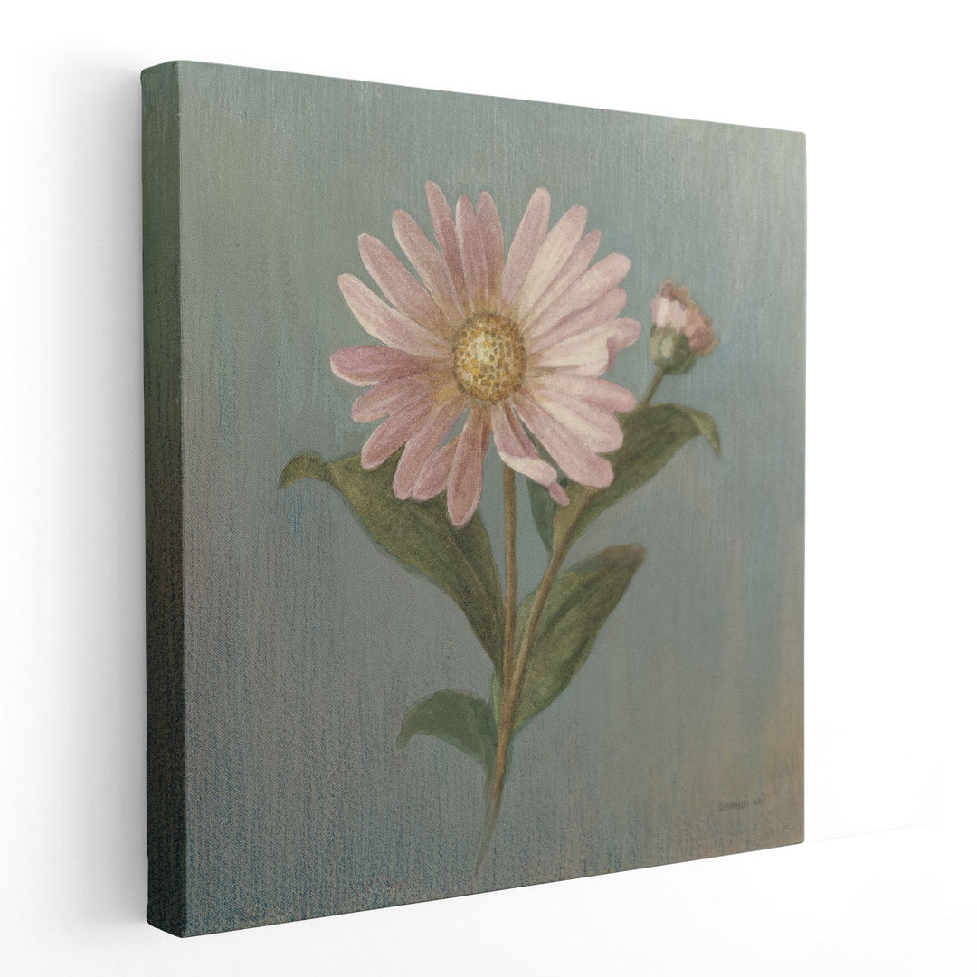 Cottage Aster - Canvas Print Wall Art