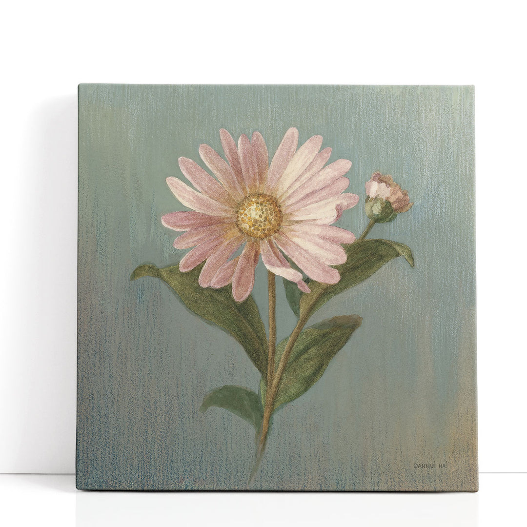 Cottage Aster - Canvas Print Wall Art