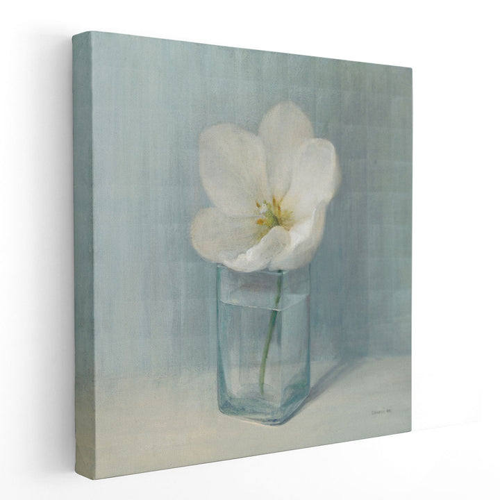 Single White Tulip - Canvas Print Wall Art