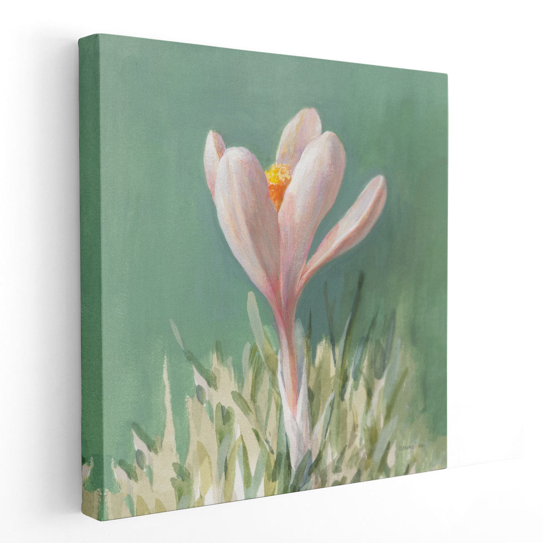 Soft Crocus - Canvas Print Wall Art