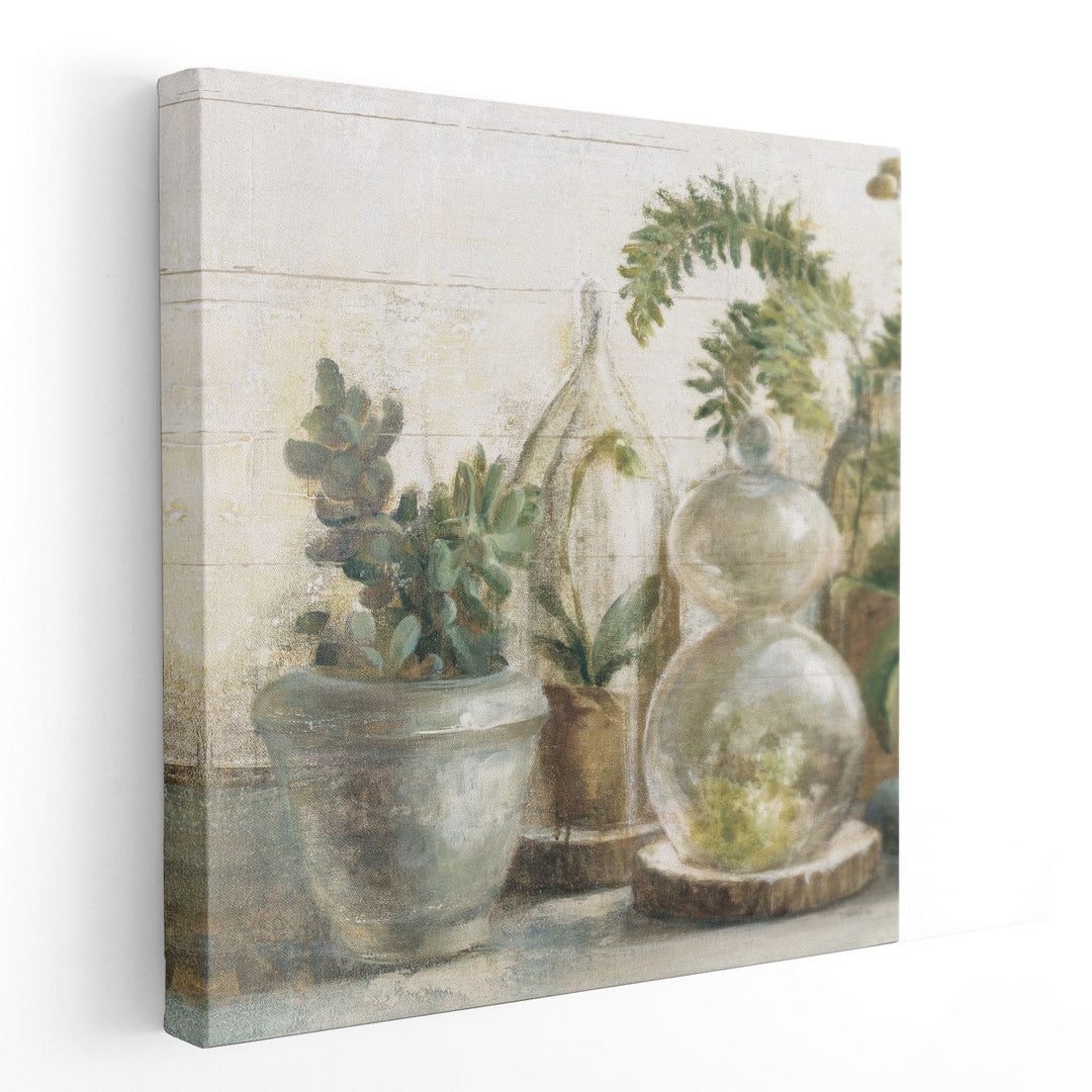 Greenhouse Orchids on Shiplap II - Canvas Print Wall Art