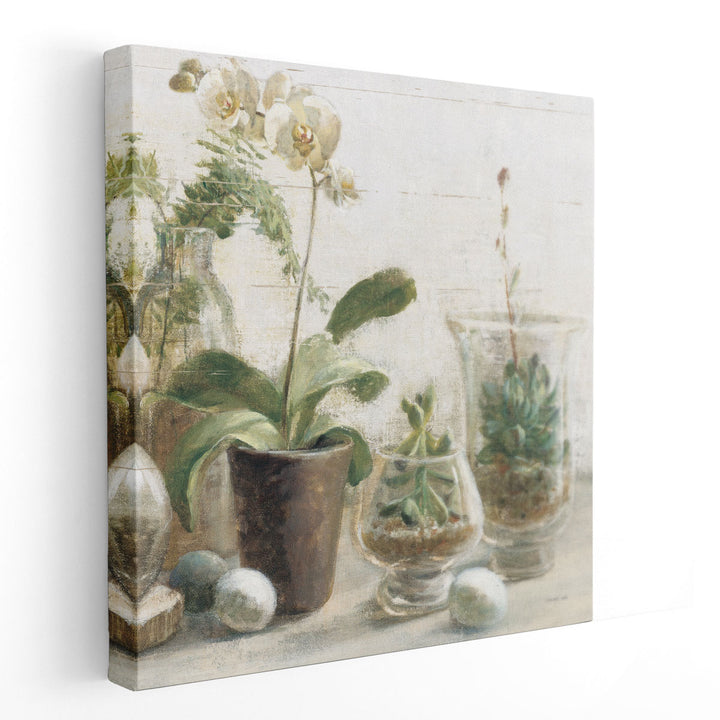 Greenhouse Orchids on Shiplap III - Canvas Print Wall Art