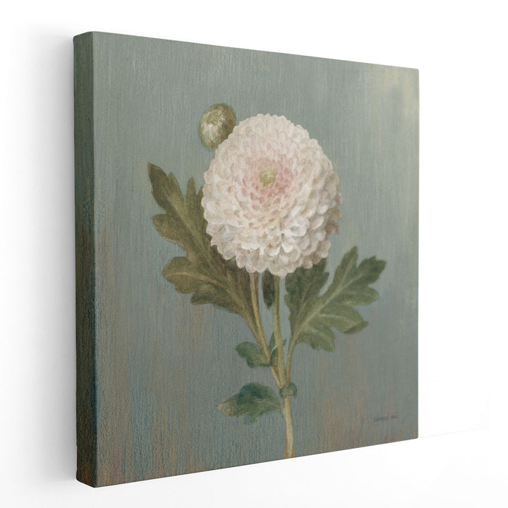 Cottage Chrysanthemum - Canvas Print Wall Art