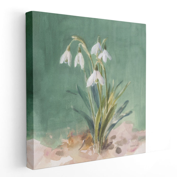 Soft Dewdrops - Canvas Print Wall Art