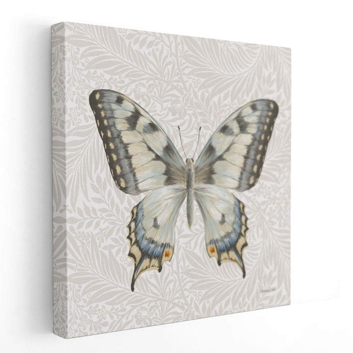 Beetles and Butterflies I - Canvas Print Wall Art