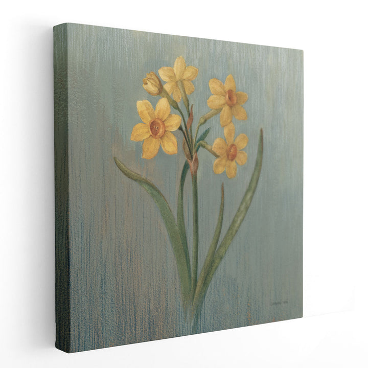 Cottage Daffodil - Canvas Print Wall Art