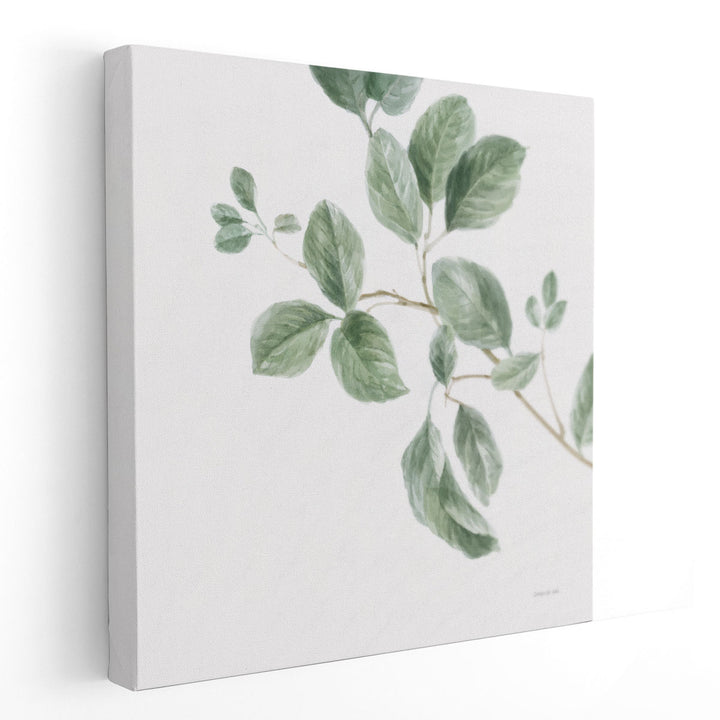 A Study of Leaves - Canvas Print Wall Art