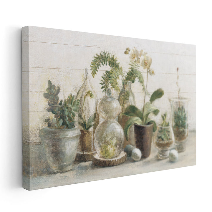 Greenhouse Orchids on Shiplap - Canvas Print Wall Art