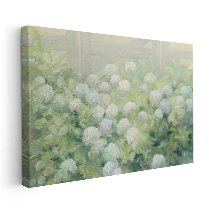 Hydrangea Lane - Canvas Print Wall Art