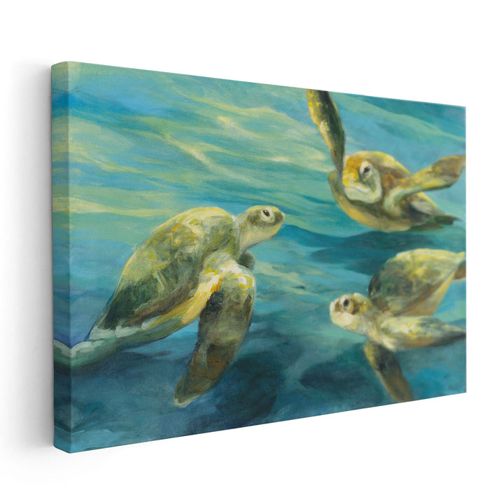 Sea Turtles - Canvas Print Wall Art