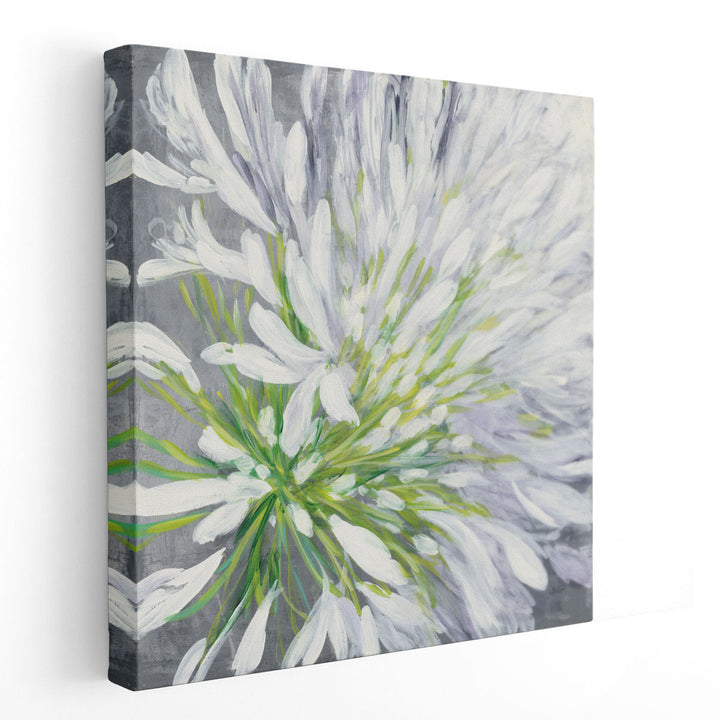 Cleome Splash II - Canvas Print Wall Art