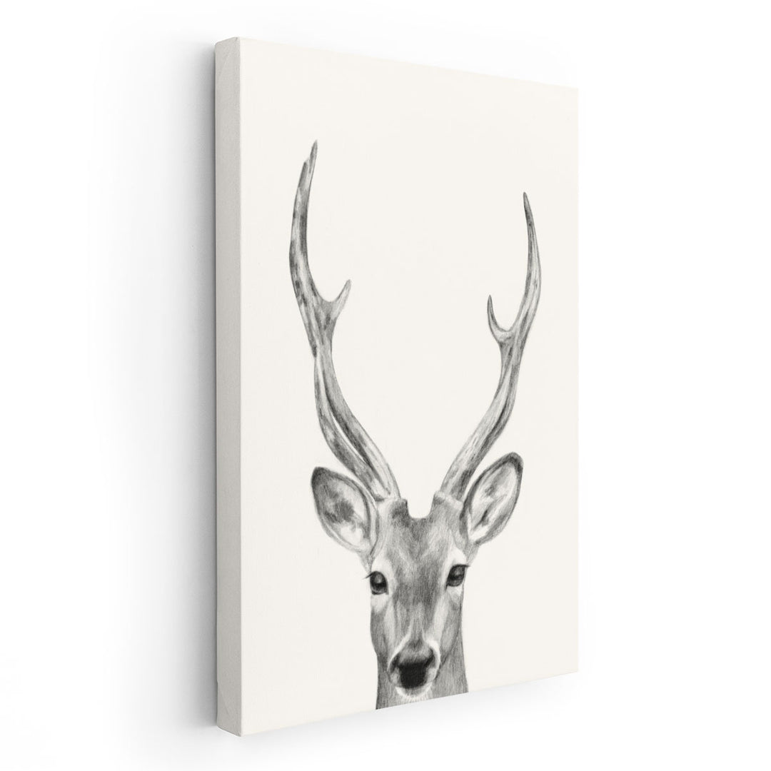 Animal Mug IV - Canvas Print Wall Art