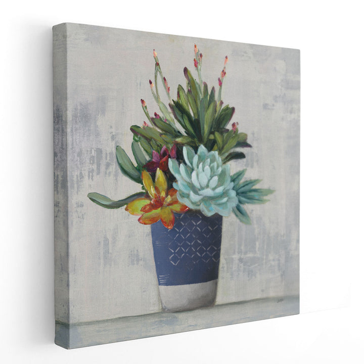 Succulent Still Life I - Canvas Print Wall Art