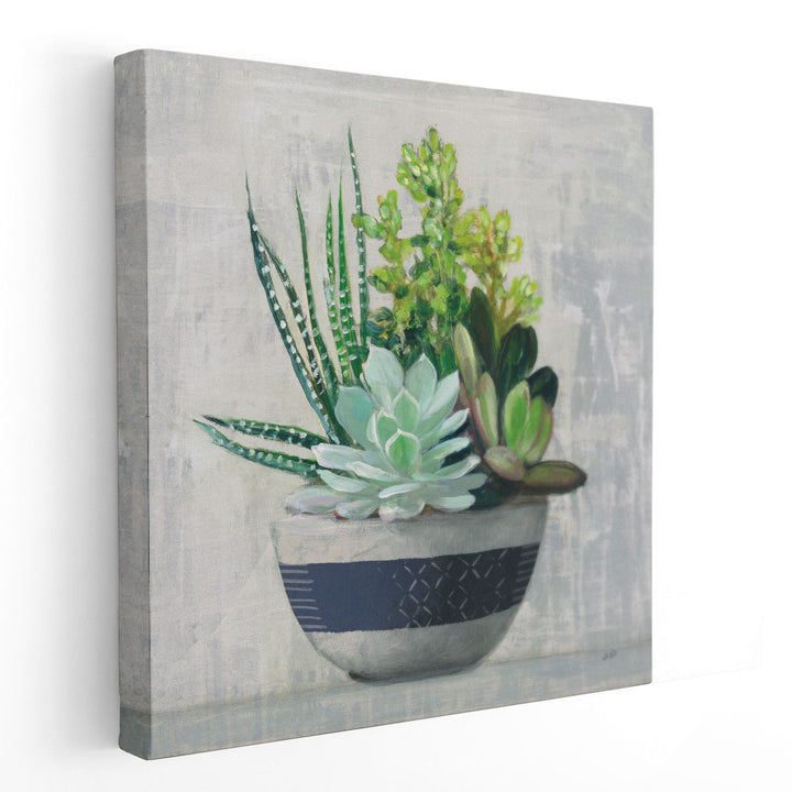 Succulent Still Life II - Canvas Print Wall Art