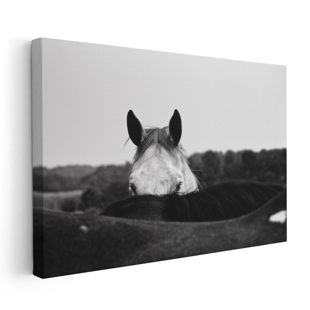 Flirt - Canvas Print Wall Art