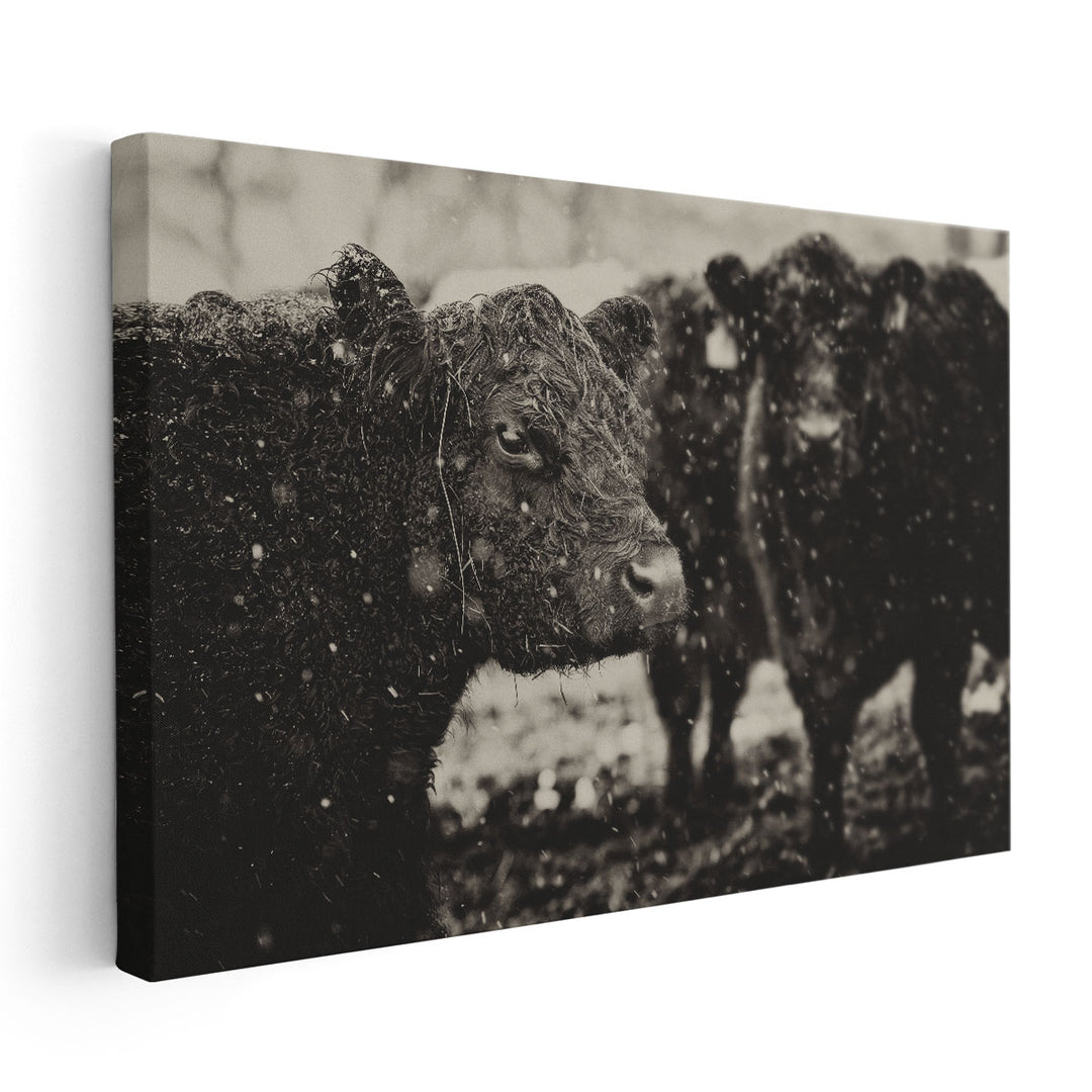 Its Snowing - Canvas Print Wall Art