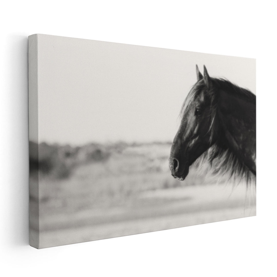 Pretty Girl - Canvas Print Wall Art