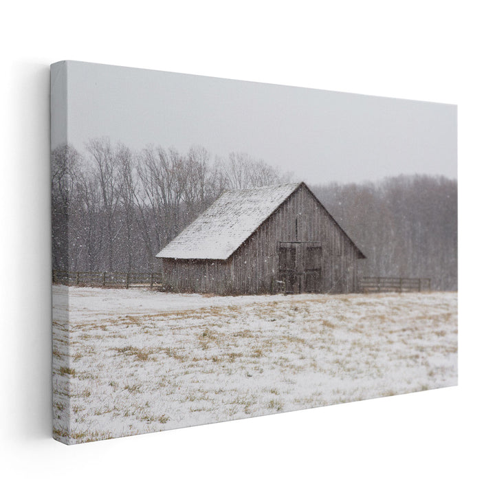 First Snow - Canvas Print Wall Art