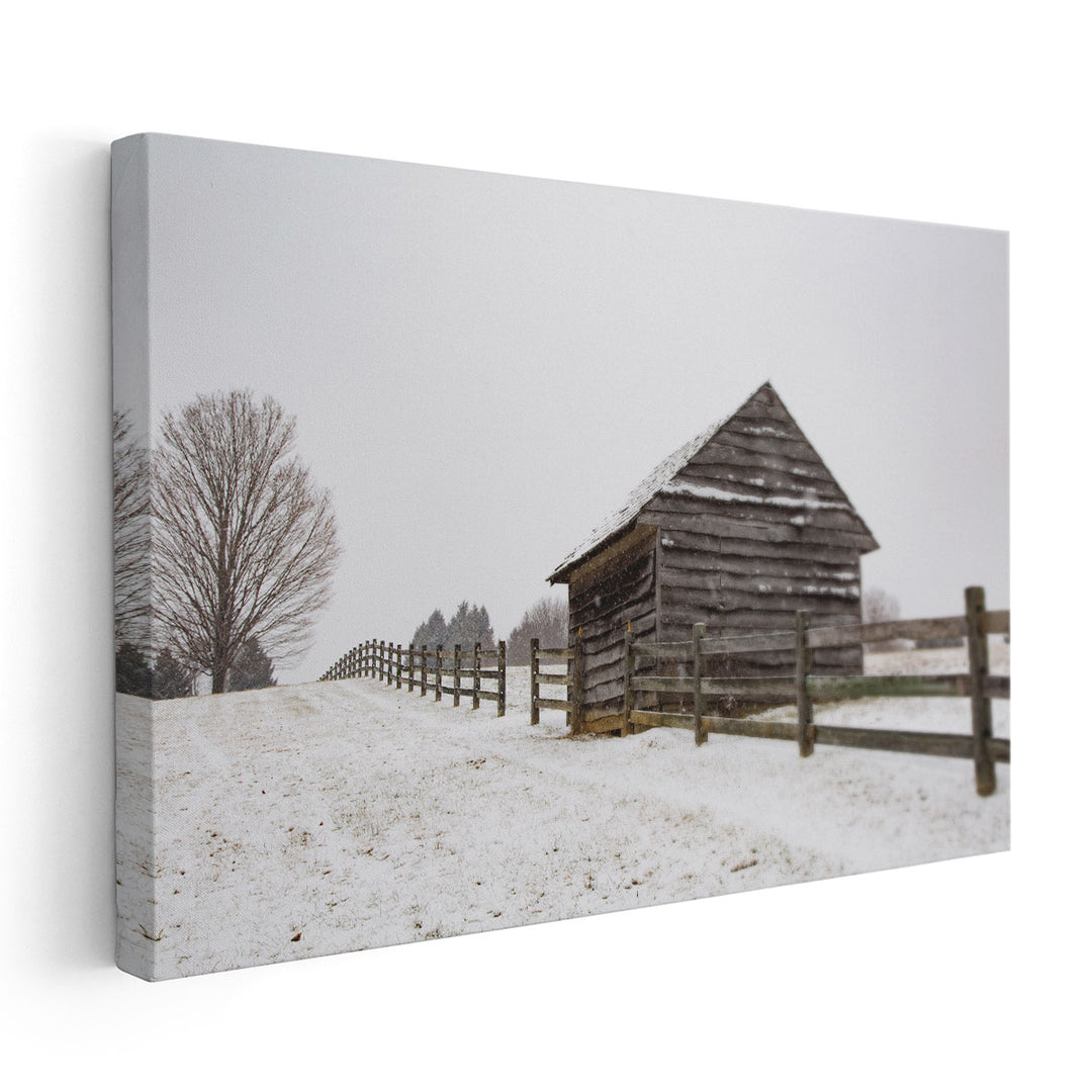 Coming to the Barn - Canvas Print Wall Art