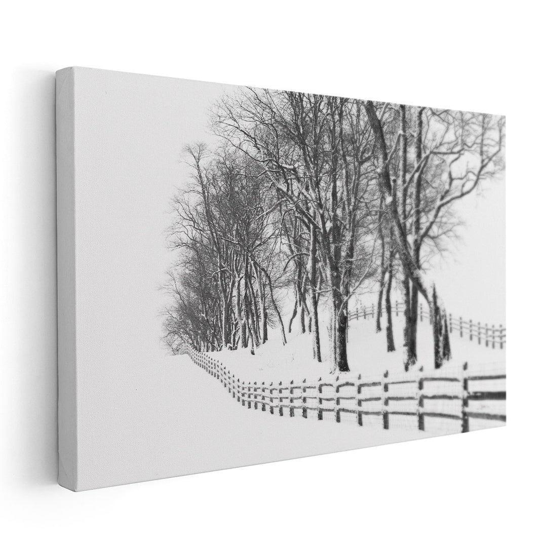 Winter Wonderland - Canvas Print Wall Art