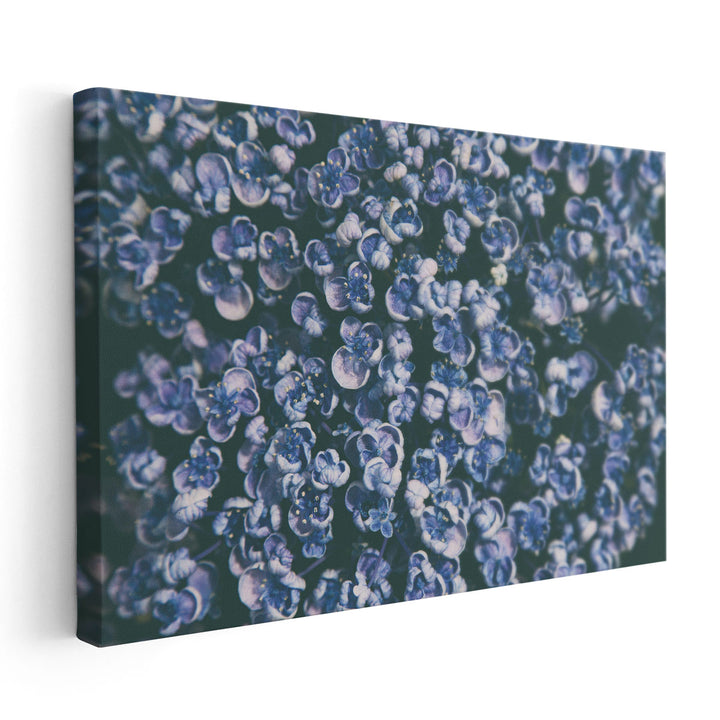 Lilac Closeup - Canvas Print Wall Art