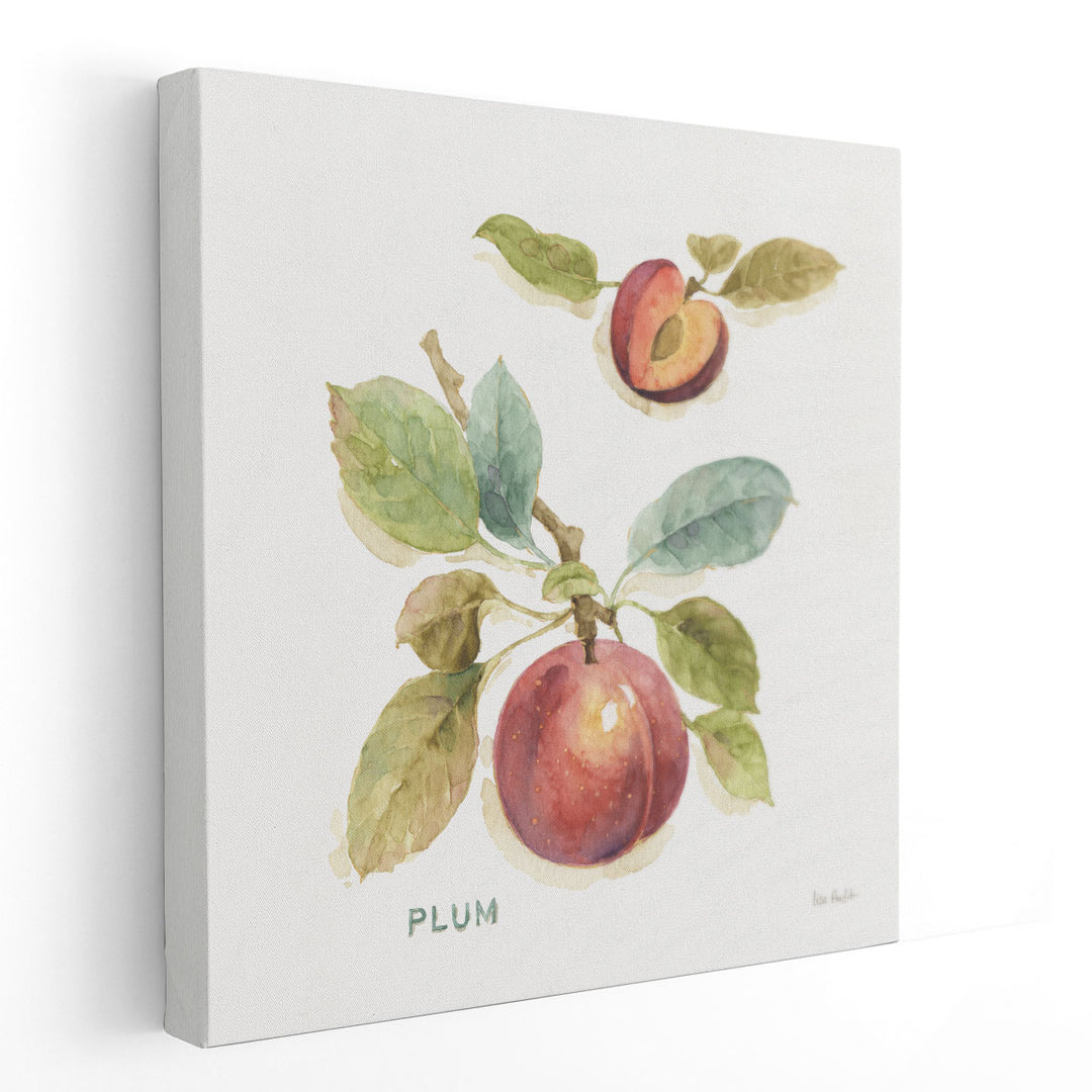 Orchard Bloom IV - Canvas Print Wall Art