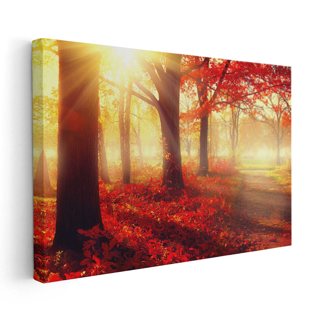 Autumn Mist Grove - Canvas Print Wall Art