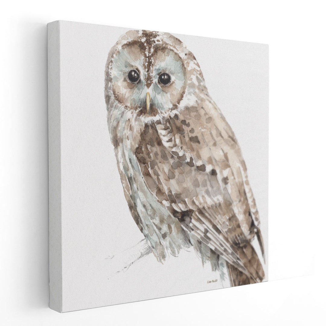 Forest Friends III - Canvas Print Wall Art