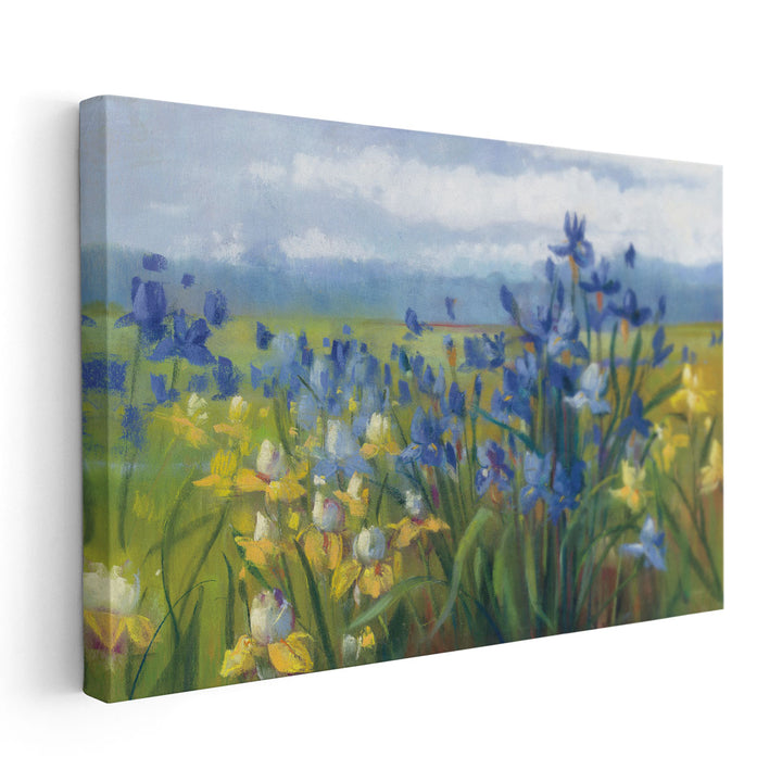 Blue and Yellow Flower Field - Canvas Print Wall Art